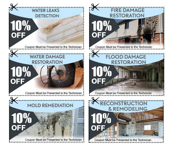 Palm Beach Gardens Restoration Expert Palm Beach Gardens, FL 561-401-0262