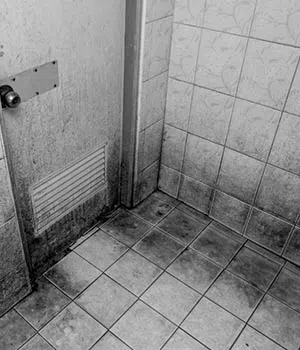 Palm Beach Gardens Restoration Expert Palm Beach Gardens, FL 561-401-0262 - mold-remediation