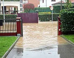 Palm Beach Gardens Restoration Expert Palm Beach Gardens, FL 561-401-0262 - palm-beach-gardens