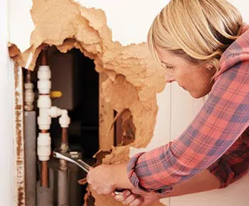 Palm Beach Gardens Restoration Expert Palm Beach Gardens, FL 561-401-0262 - services