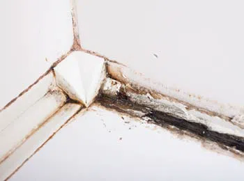 Palm Beach Gardens Restoration Expert Palm Beach Gardens, FL 561-401-0262